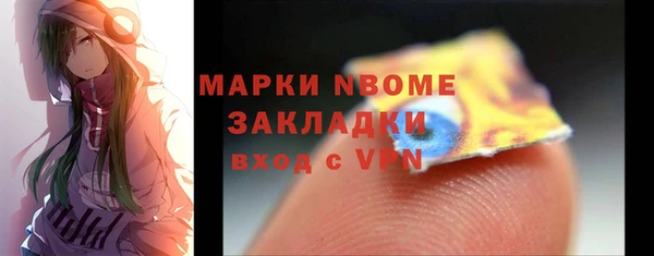 гидра Туринск
