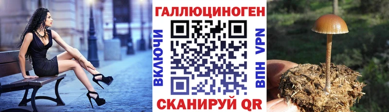 Галлюциногенные грибы прущие грибы  МЕГА как войти  Саранск  купить наркоту 